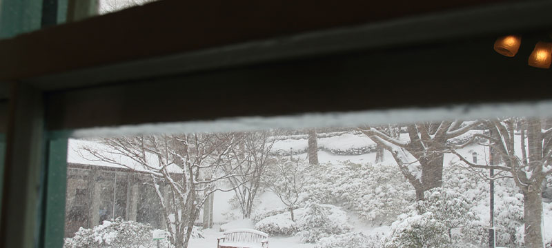 窓の外に雪が降り積もっている写真