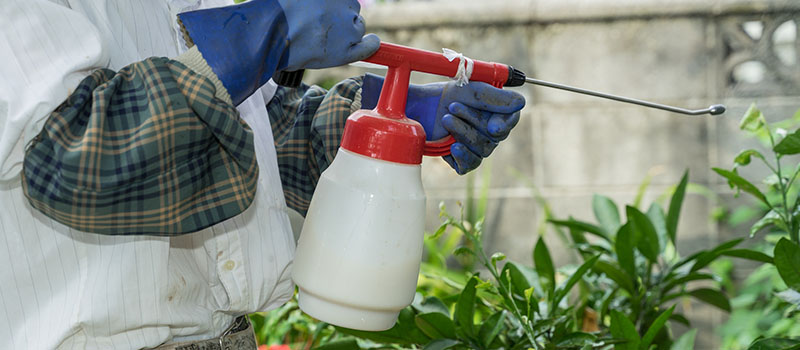 液剤を散布する様子