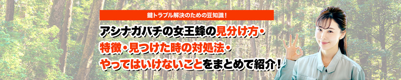 害獣・害鳥・害虫のトラブルならスマイルレスキューにお任せ下さい！・最短10分で駆け付け・作業時間最短5分・お客様満足度No.1・まずは無料の電話相談をご利用ください！