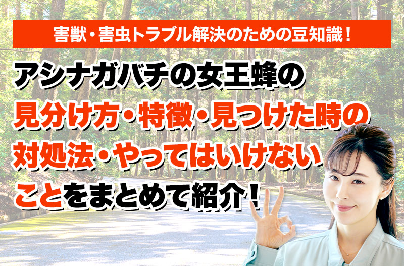 害獣・害鳥・害虫のトラブルならスマイルレスキューにお任せ下さい！・最短10分で駆け付け・作業時間最短5分・お客様満足度No.1・まずは無料の電話相談をご利用ください！