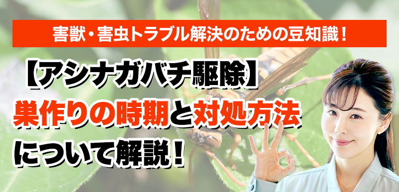 害獣のトラブルならスマイルレスキューにお任せ下さい！・最短10分で駆け付け・作業時間最短5分・お客様満足度No.1・まずは無料の電話相談をご利用ください！