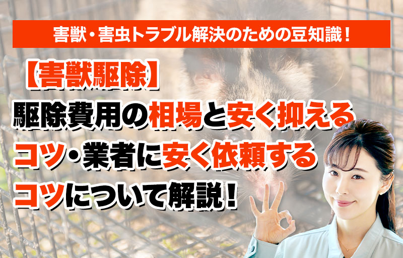 害獣のトラブルならスマイルレスキューにお任せ下さい！・最短10分で駆け付け・作業時間最短5分・お客様満足度No.1・まずは無料の電話相談をご利用ください！