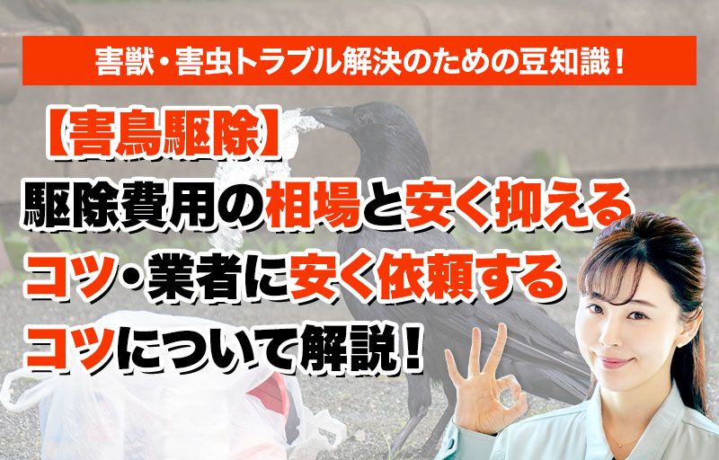 害獣のトラブルならスマイルレスキューにお任せ下さい！・最短10分で駆け付け・作業時間最短5分・お客様満足度No.1・まずは無料の電話相談をご利用ください！