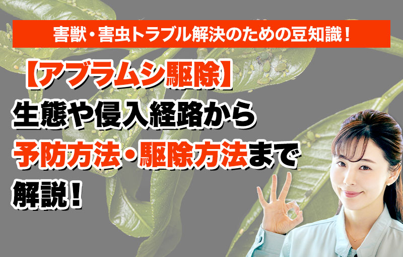 【アブラムシ駆除】生態や侵入経路から予防方法・駆除方法まで解説！