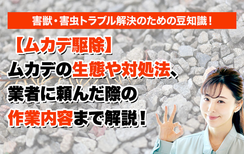 【ムカデ 駆除】ムカデの生態や対処法、業者に頼んだ際の作業内容まで解説！