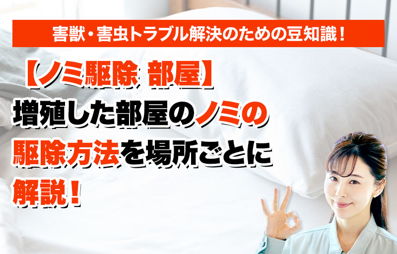 【ノミ 駆除 部屋】増殖した部屋のノミの駆除方法を場所ごとに解説！