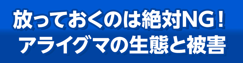 放っておくのは絶対NG！アライグマの生態と被害