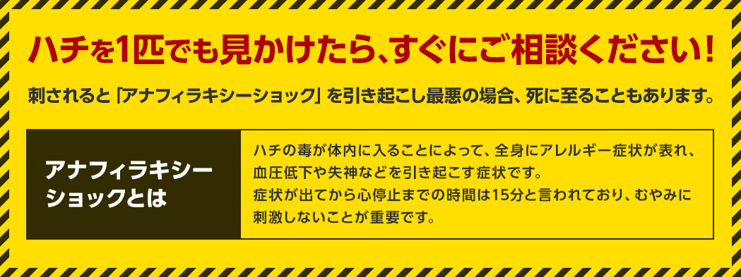 ハチを一匹でも見かけたら、すぐにご相談ください！