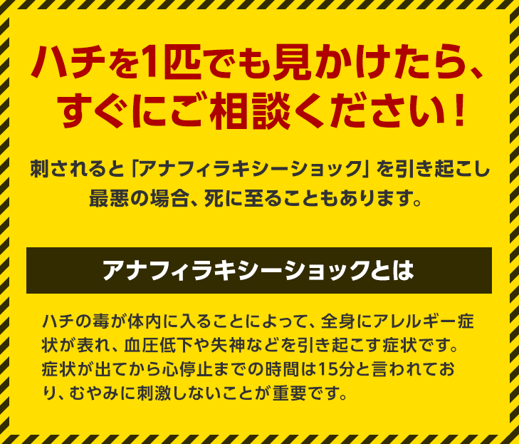 ハチを一匹でも見かけたら、すぐにご相談ください！