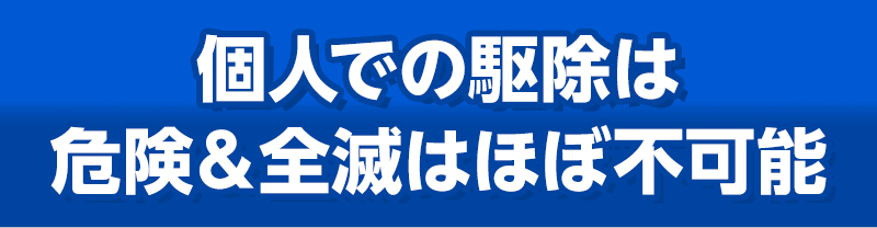 個人での駆除は危険＆全滅はほぼ不可能