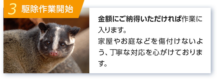 3 駆除作業開始 金額にご納得いただければ作業に入ります。家屋やお庭などを気づ付けないよう、丁寧な対応を心がけております。