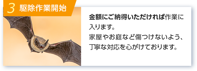 3 駆除作業開始 金額にご納得いただければ作業に入ります。家屋やお庭などを気づ付けないよう、丁寧な対応を心がけております。